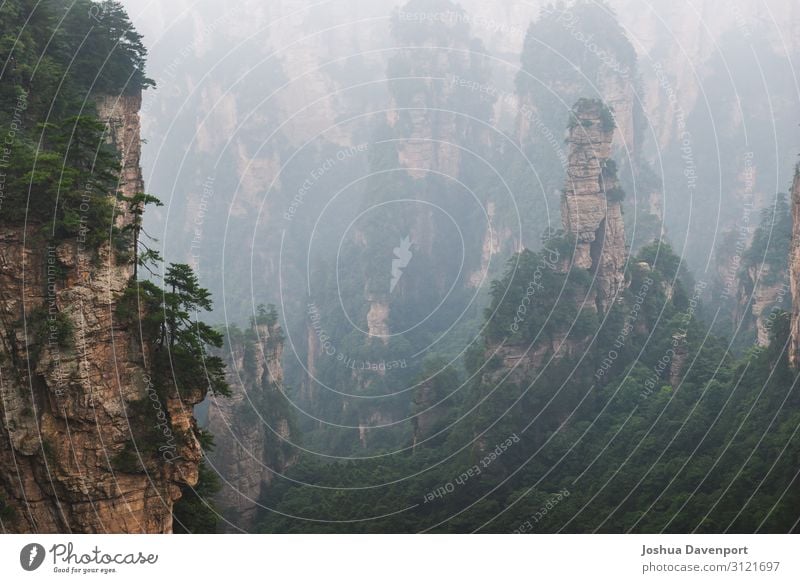 Zhangjiajie Nationalpark Ferien & Urlaub & Reisen Tourismus Sightseeing Natur Berge u. Gebirge schön Asien Asien Reisen China berühmter Ort hunan provinz