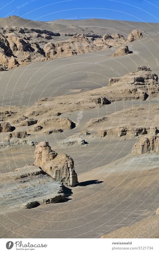 Yardangs-verwitterte Felsoberflächen. Qaidam-Becken - Qinghai-China-538 Ferien & Urlaub & Reisen Tourismus Ausflug Abenteuer Sightseeing Sonne Umwelt Natur