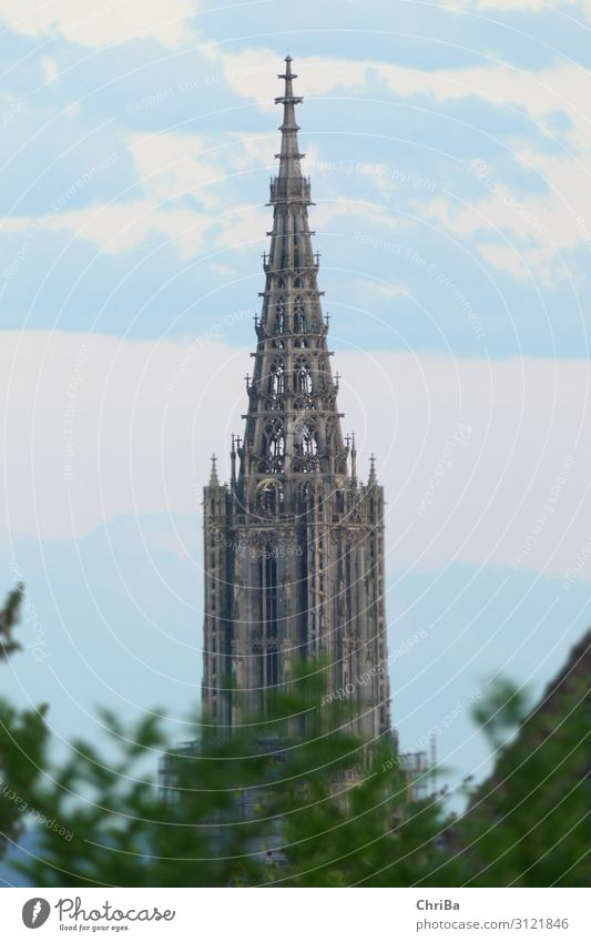 Ulmer Münster Turm Architektur Kultur Deutschland Europa Kirche Bauwerk Gebäude Sehenswürdigkeit Wahrzeichen Denkmal Religion & Glaube Kunst Vergangenheit Zeit