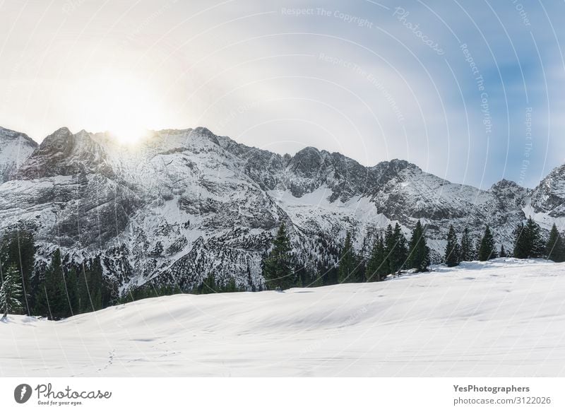 Wintermorgenszene mit verschneiten Alpenbergen in Österreich Ferien & Urlaub & Reisen Ausflug Abenteuer Schnee Berge u. Gebirge Weihnachten & Advent