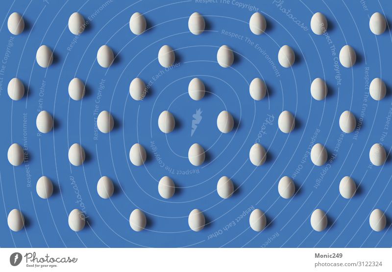 Nahtloses Muster eines weißen Eies Lebensmittel Ernährung Frühstück Bioprodukte kaufen Design Tapete Container frisch blau braun vereinzelt Wiederholung