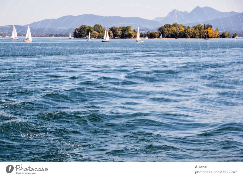 Segelwetter Ferien & Urlaub & Reisen Wellen Segeln Schönes Wetter Alpen Insel See Chiemsee Chiemgau Erholung hell Sauberkeit blau Glück Gelassenheit ruhig