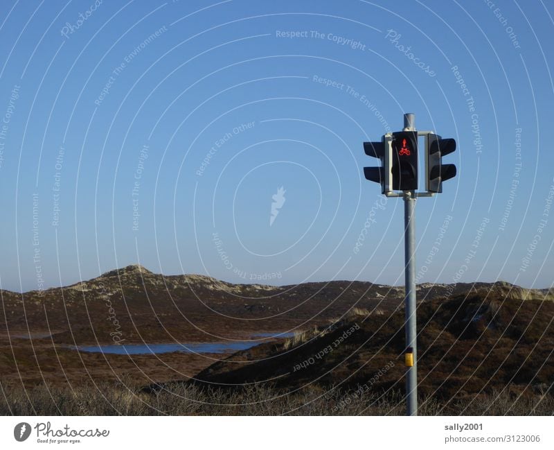 Dünenampel... Ampel Rotlicht Dünenlandschaft Dünengras Sylt Natur Ferien & Urlaub & Reisen Himmel Landschaft Erholung See Verkehr Fußgängerampel Sicherheit