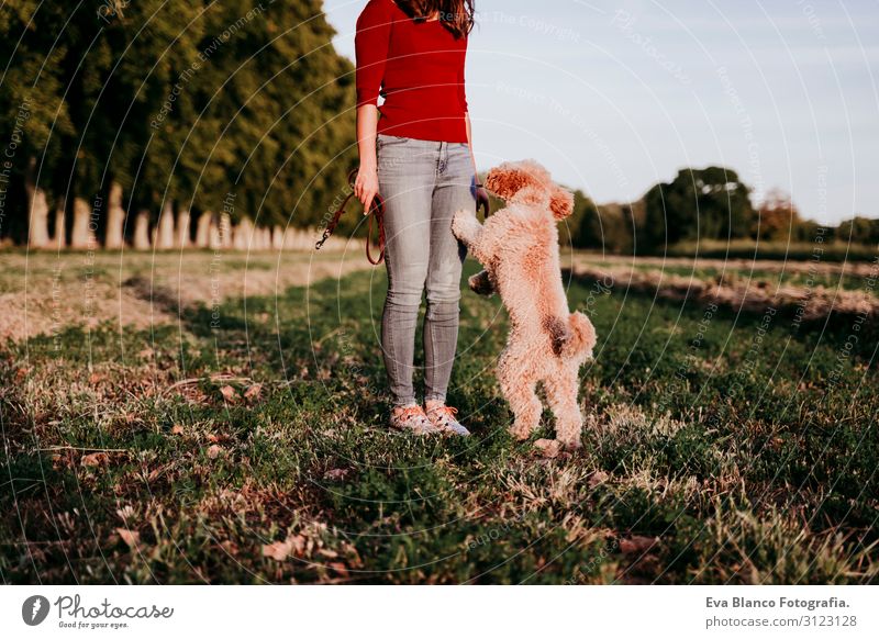 schöne kaukasische Frau mit ihrem süßen braunen Pudelhund bei Sonnenuntergang auf dem Land. Haustiere und Lebensweise im Freien Jugendliche Feld Hut Lifestyle