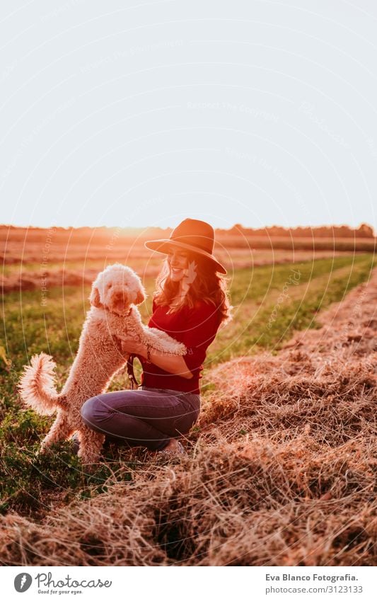 schöne kaukasische Frau mit ihrem süßen braunen Pudelhund bei Sonnenuntergang auf dem Land. Haustiere und Lebensweise im Freien Jugendliche Feld Hut Lifestyle