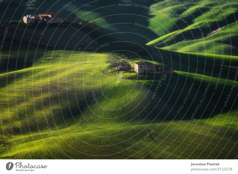 Wunderschöne Hügel in der grünen Farbe des Frühlings. Landschaft Natur ländlich Wiese Feld Sommer Ackerbau reisen Gras im Freien Bauernhof Baum Berge u. Gebirge