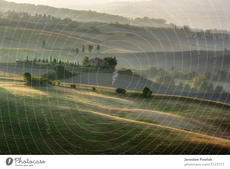 Die Toskana ist der schönste Ort in Europa und wird von Touristen am meisten besucht. Die Landschaft hat die schönste Form der Gegend. Italien Wiese Natur