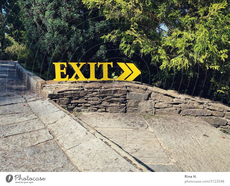 EXIT Natur Baum Metall Zeichen Schriftzeichen Schilder & Markierungen Hinweisschild Warnschild gelb grün Wegweiser Ausgangsschild Exit Farbfoto Außenaufnahme