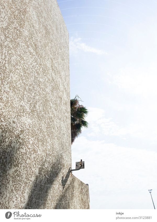 unter Palmen Himmel Schönes Wetter exotisch Palmenwedel Menschenleer Mauer Wand Fassade eckig Stadt Farbfoto Gedeckte Farben Außenaufnahme Textfreiraum rechts