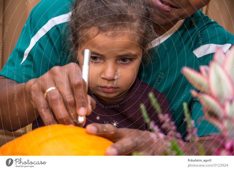 Kürbisschnitzen | Mädchen und Vater schnitzen einen Kürbis für Halloween Basteln Kind maskulin feminin Erwachsene Familie & Verwandtschaft Gesicht Hand 2 Mensch