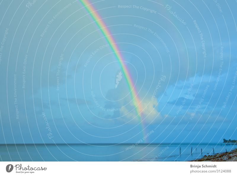 Wunderschöner, leuchtender Regenbogen über dem Meer Umwelt Natur Landschaft Urelemente Luft Wolken Herbst Schönes Wetter Küste träumen ästhetisch