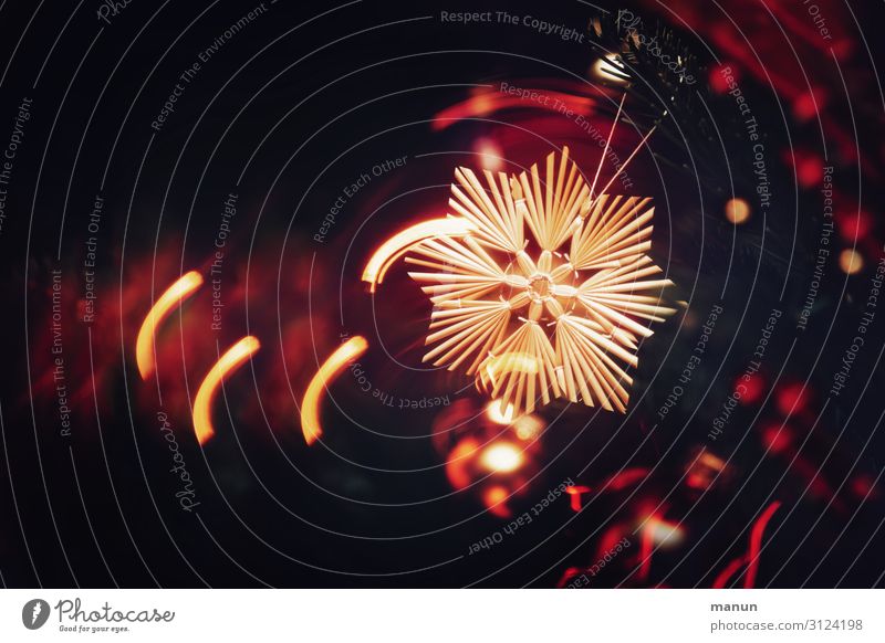 Strohstern Häusliches Leben Dekoration & Verzierung Feste & Feiern Weihnachten & Advent festlich Weihnachtsstern Weihnachtsdekoration Weihnachtsbeleuchtung