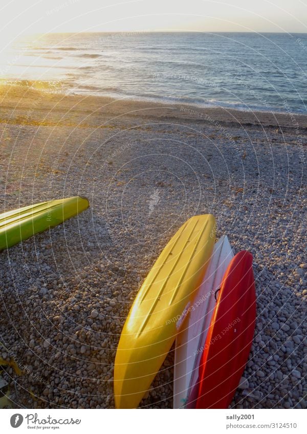 Erinnerung an den Sommer... Sport Kanusport Küste Meer mehrfarbig Pause Ferien & Urlaub & Reisen Kajak Freizeit & Hobby Kieselstrand Außenaufnahme Farbfoto