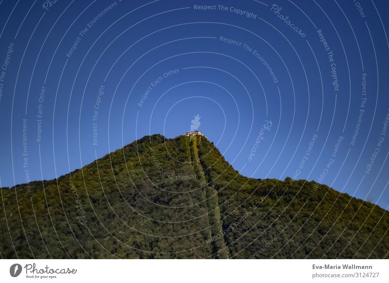 Ein Berg aus Bäumen Ferne Berge u. Gebirge wandern Landschaft Wolkenloser Himmel Sommer Schönes Wetter Baum Wald hoch natürlich schön blau grün ruhig Frieden