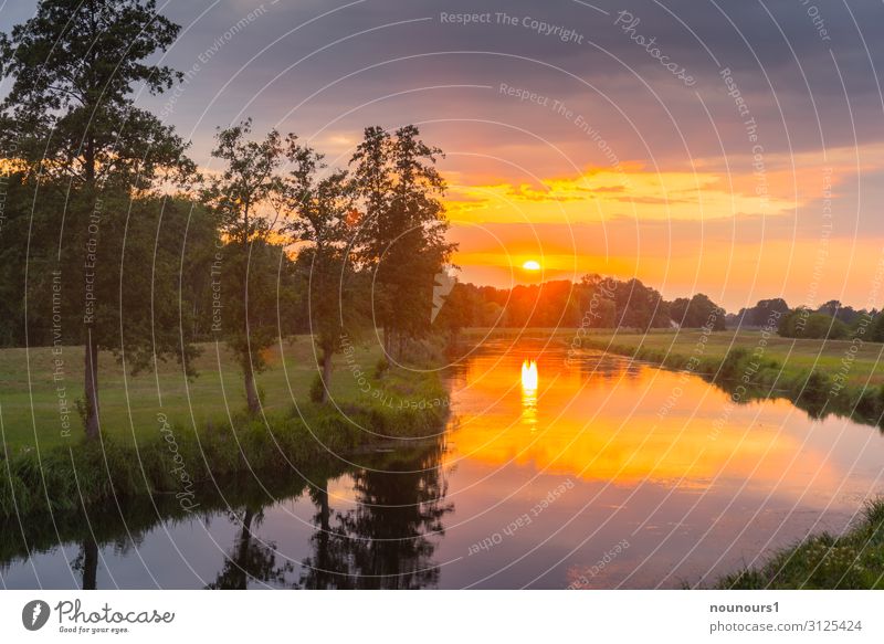 Sunset Natur Landschaft Pflanze Wasser Himmel Gewitterwolken Sonnenaufgang Sonnenuntergang Sommer Baum Gras Flussufer Spree grau grün orange Farbfoto