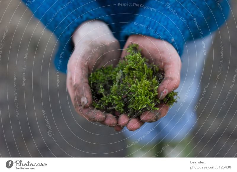 Moos in der Hand 1 Mensch 8-13 Jahre Kind Kindheit 13-18 Jahre Jugendliche Kunst Umwelt Natur Klima Klimawandel gebrauchen festhalten stoppen Erde Moosteppich