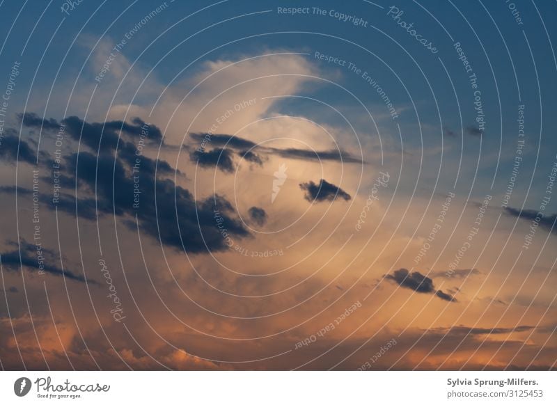 Freiheit Umwelt Natur Himmel Wolken Klima Wetter Schönes Wetter Erholung leuchten frei Unendlichkeit blau Gefühle Stimmung Schutz Geborgenheit dankbar achtsam