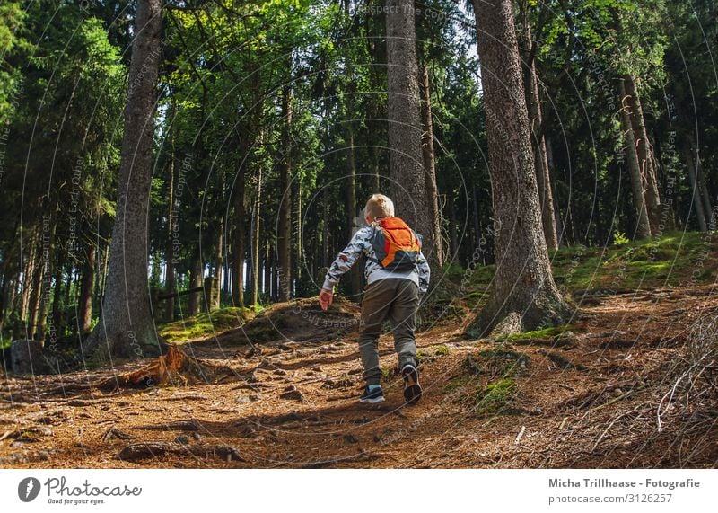 Spaß in der Natur Ferien & Urlaub & Reisen Abenteuer Expedition wandern Mensch maskulin Junge Familie & Verwandtschaft Kindheit 1 3-8 Jahre Landschaft Sonne