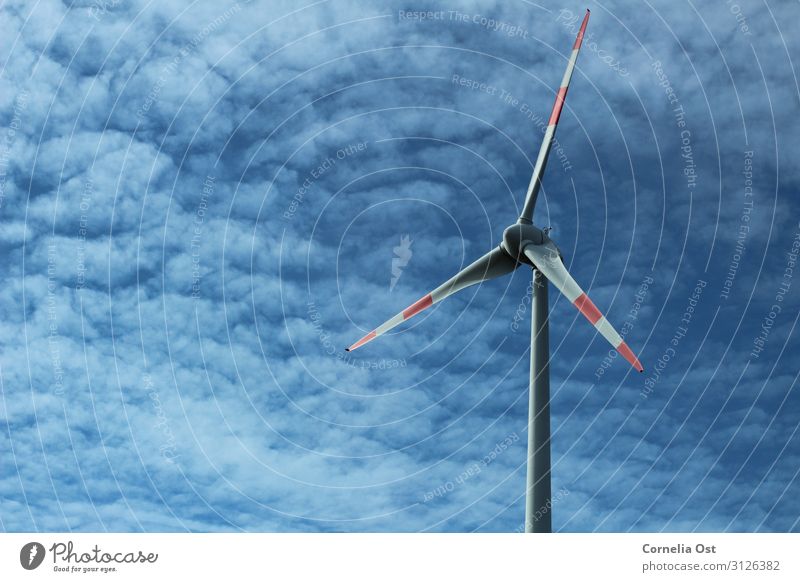 Die Kraft der Natur Umwelt Landschaft Himmel Wolken Herbst Wind Dorf nachhaltig Energie Windkraftanlage Erneuerbare Energie Umweltschutz Farbfoto Außenaufnahme