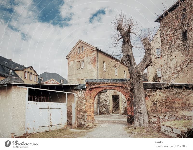 Aua, mei Greize Himmel Wolken Baum Baumstamm Thüringen Deutschland Kleinstadt Altstadt Haus Burg oder Schloss Tor Bauwerk Gebäude Architektur Torbogen Garage