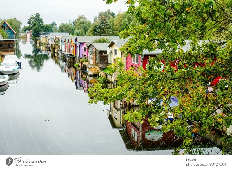 nah am wasser gebaut. Umwelt Natur Pflanze Wasser Herbst Schönes Wetter Baum Flussufer Haus Traumhaus Bauwerk Bootshaus Balkon Terrasse Verkehrswege