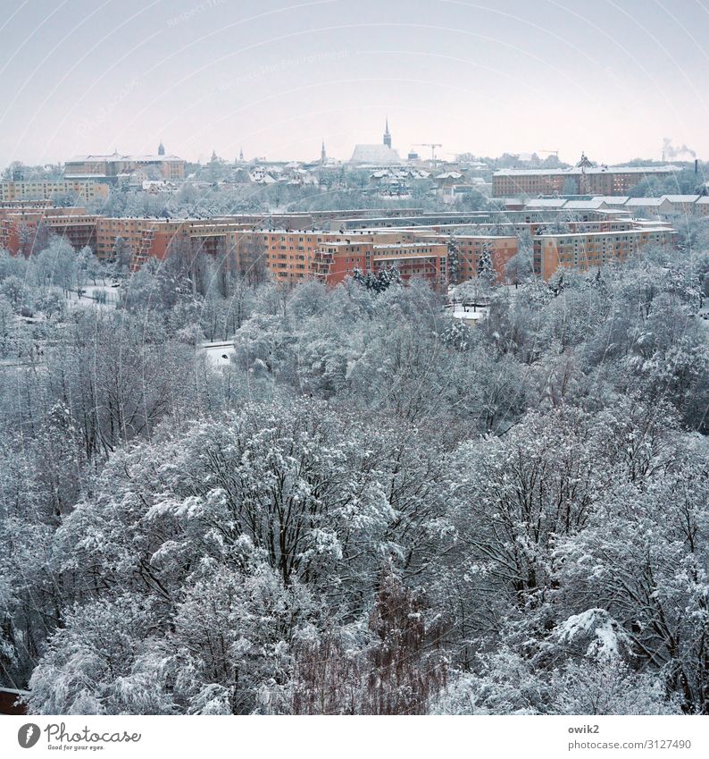 Kalte Stadt Umwelt Natur Landschaft Himmel Winter Schönes Wetter Eis Frost Schnee Baum Park Wald Bautzen Deutschland Kleinstadt Stadtzentrum Altstadt Skyline