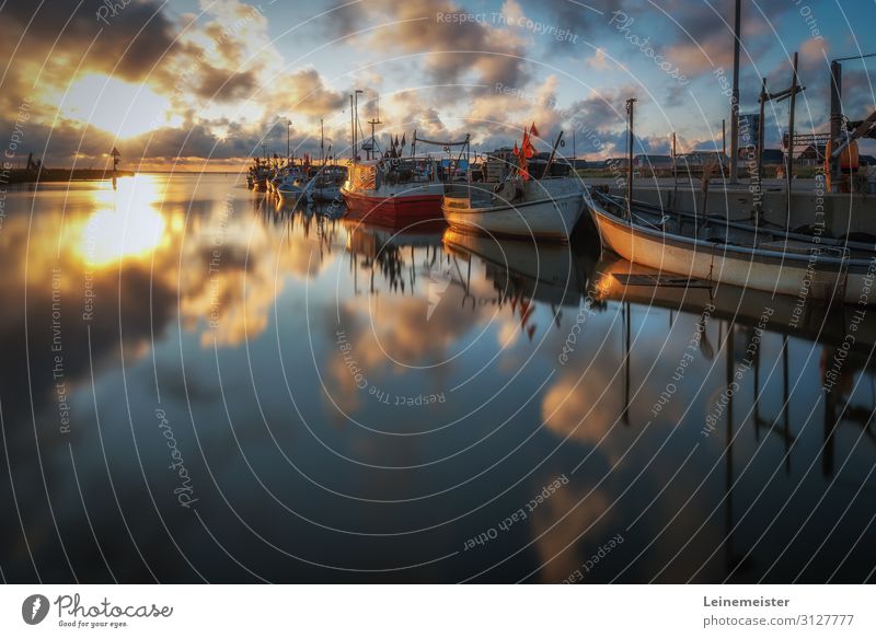 Tyskerhavnen II Ferien & Urlaub & Reisen Tourismus Ausflug Sommer Sommerurlaub Sonne Meer Umwelt Natur Landschaft Himmel Wolken Fjord Hvide Sande Dänemark