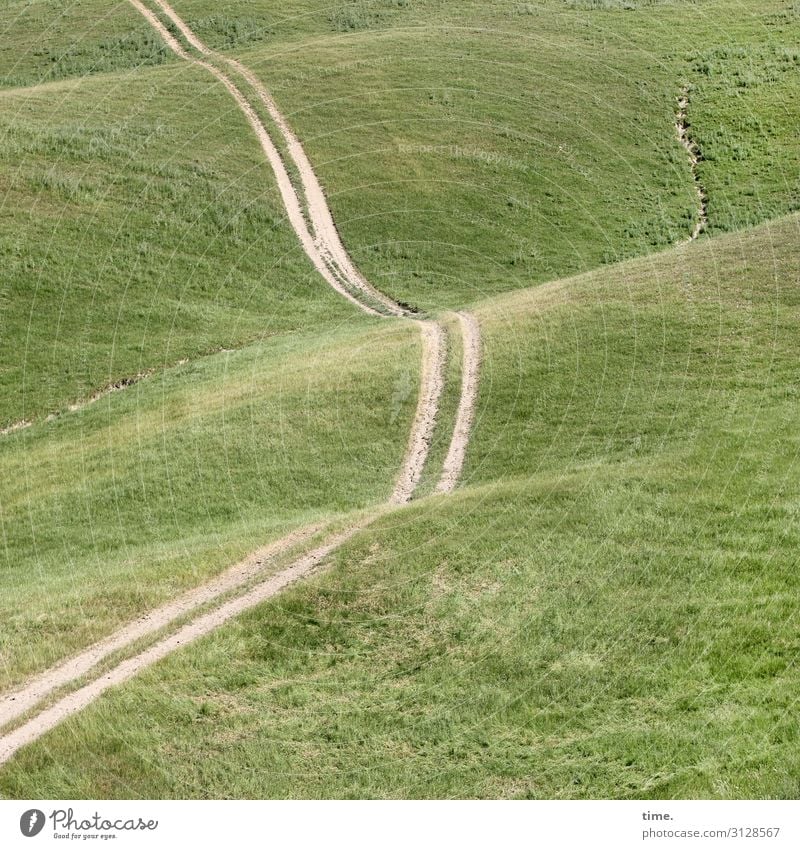 Kurvenlage Umwelt Natur Landschaft Urelemente Sand Schönes Wetter Wiese Feld Hügel Wege & Pfade Linie Streifen Lebensfreude Leidenschaft Partnerschaft