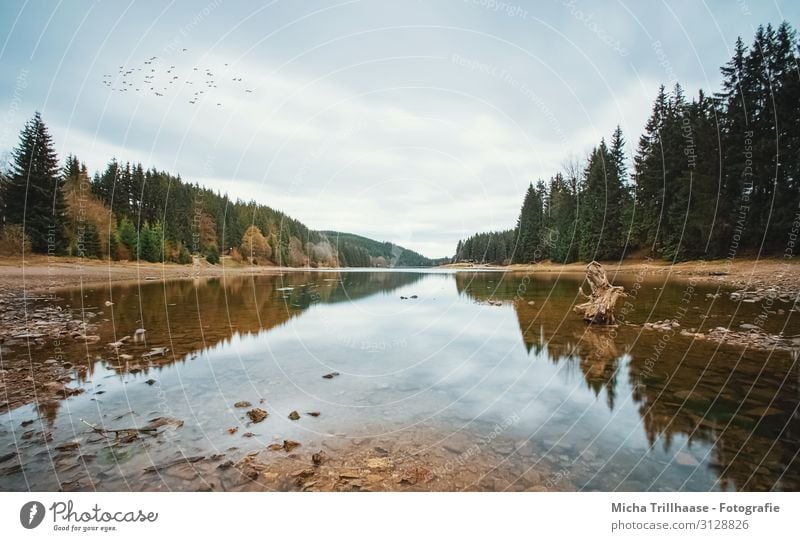 See im Herbst Ferien & Urlaub & Reisen Camping wandern Natur Landschaft Wasser Himmel Wolken Sonnenlicht Baum Wald Erholung natürlich blau braun gelb grün