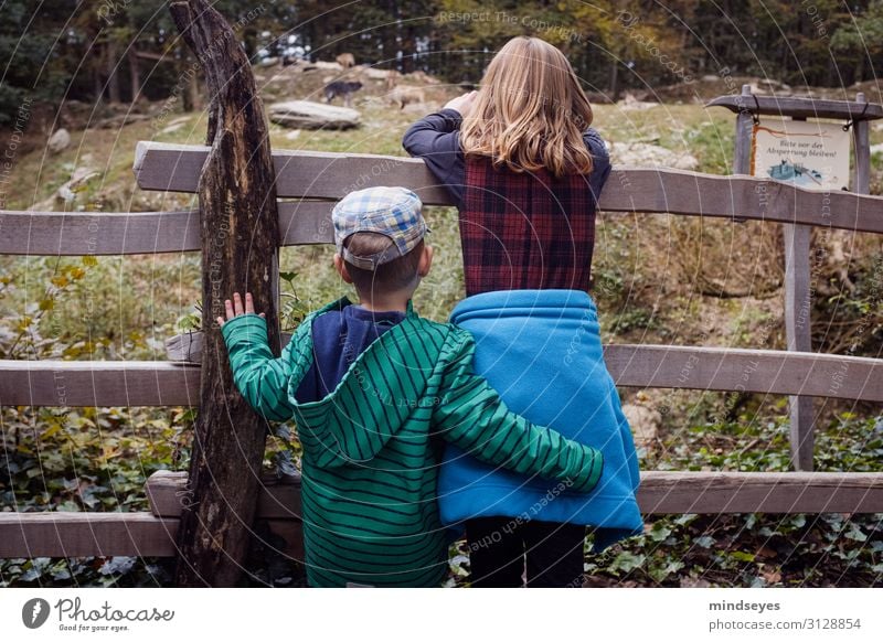 Bruder und Schwester von Hinten am Zaun Freizeit & Hobby Spielen Zoo Kind Geschwister Familie & Verwandtschaft Kindheit 2 Mensch 3-8 Jahre Natur Jacke Mütze