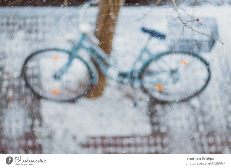 Fahrrad auf einem Baum stehend im Winter Vogelperspektive Erfurt Deutschland Hintergrundbild Fahrradfahren Weihnachten & Advent ökologisch Umwelt Flocke