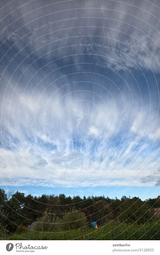 Himmel und Wolken Himmel (Jenseits) Schrebergarten Kleingartenkolonie Menschenleer Natur Sommer Textfreiraum Tiefenschärfe Wind Wetter Meteorologie Cirrus