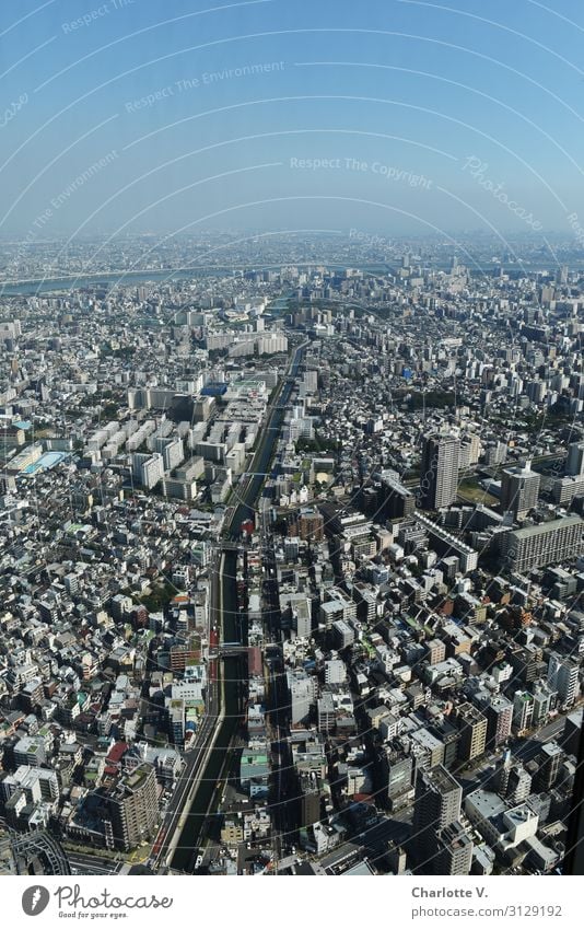 Weite Tokyo Japan Asien Hauptstadt Stadtzentrum Stein Beton Wasser entdecken Horizont komplex Leichtigkeit modern Unendlichkeit Ferne überblicken Aussicht