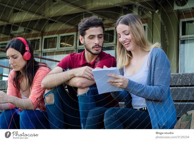 Gruppe von Universitätsstudenten, die gemeinsam im Freien studieren. Lifestyle Glück schön Sommer Schule lernen Studium sprechen Notebook Mensch Frau Erwachsene