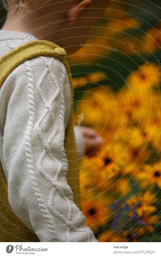 Kleinkind mit Strickpullover erkundet Blumen im Freien Kindererziehung Bildung Kindergarten lernen Mensch Junge Kindheit Leben 1 1-3 Jahre 3-8 Jahre Umwelt