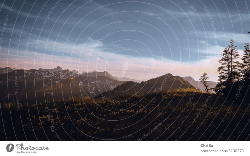 Abendstimmung im Allgäu harmonisch Wohlgefühl Zufriedenheit Sommerurlaub Sonne Berge u. Gebirge wandern Klettern Bergsteigen Natur Landschaft Pflanze Wolken