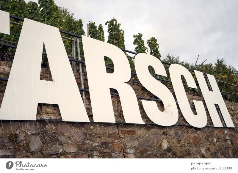 ARSCH Getränk Wein Ferien & Urlaub & Reisen Tourismus Himmel Baum Hügel Felsen Weinberg Kröv Mauer Wand Sehenswürdigkeit Wahrzeichen Stein Schriftzeichen