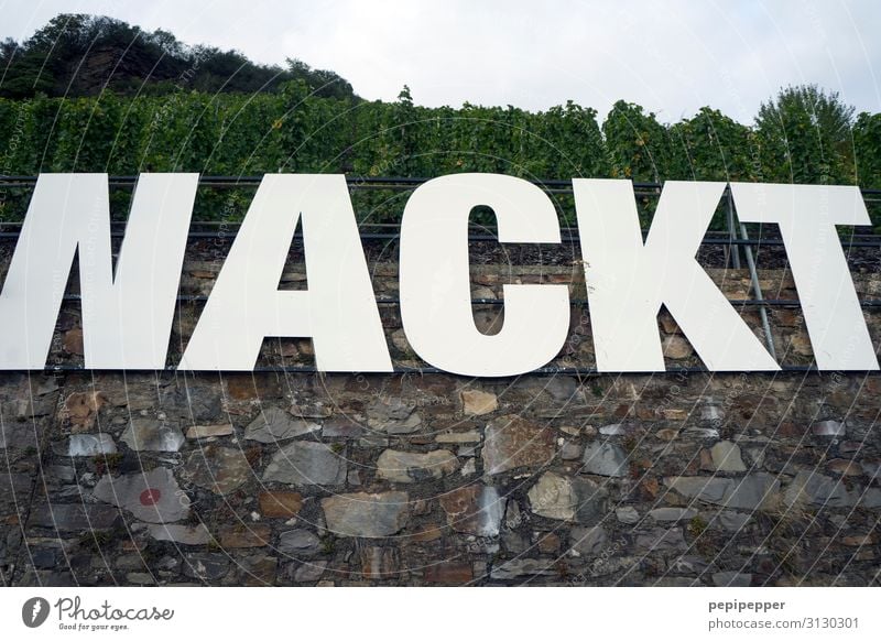 NACKT Getränk Wein Tourismus Himmel Baum Hügel Felsen Weinberg Kröv Mauer Wand Sehenswürdigkeit Wahrzeichen Stein Schriftzeichen Schilder & Markierungen bizarr