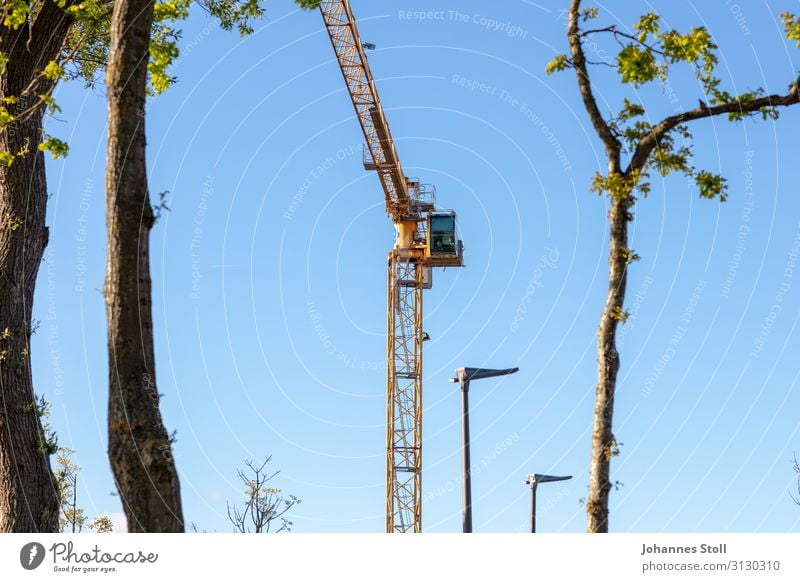 Gelber Baukran und Bäumstämme vor blauem Himmel Kran Krane Baustelle bauen Höhe Baumstamm Baumstämme Blätter Linien muster Laterne Parallelen Stadtplanung