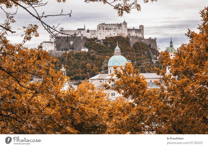 Festung Hohensalzburg Ferien & Urlaub & Reisen Sightseeing Städtereise Natur Wolken Herbst Pflanze Sträucher Hügel Stadt Kirche Dom Burg oder Schloss Dach