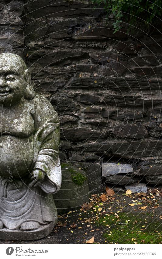 buddha androgyn Leben Körper Kopf Garten Park Mauer Wand Fassade Mantel Glatze Stein warten positiv grau Tugend Lebensfreude Güte achtsam Gelassenheit geduldig