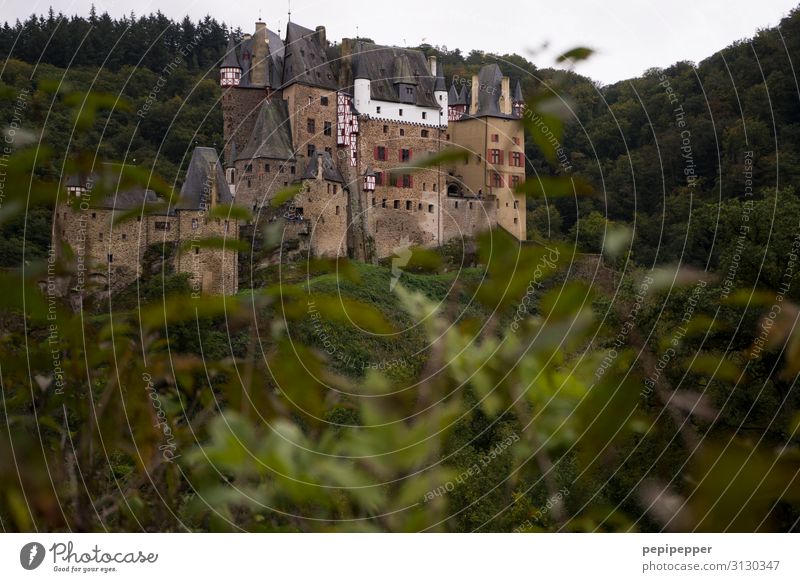 Burg ELTZ Ferien & Urlaub & Reisen Tourismus Ausflug Abenteuer Natur Landschaft Pflanze Baum Wald Hügel Burg oder Schloss Mauer Wand Fassade Sehenswürdigkeit