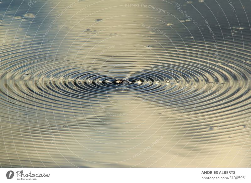 Ripples of Life - Muster in der Natur Sightseeing Bildung Umwelt Urelemente Wasser Frühling blau mehrfarbig schwarz silber türkis weiß Willensstärke friedlich