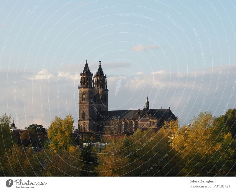 Magdeburger Dom Ferien & Urlaub & Reisen Tourismus Ausflug Städtereise Museum Kunstwerk Architektur Stadt Hauptstadt Kirche Fassade Sehenswürdigkeit Wahrzeichen