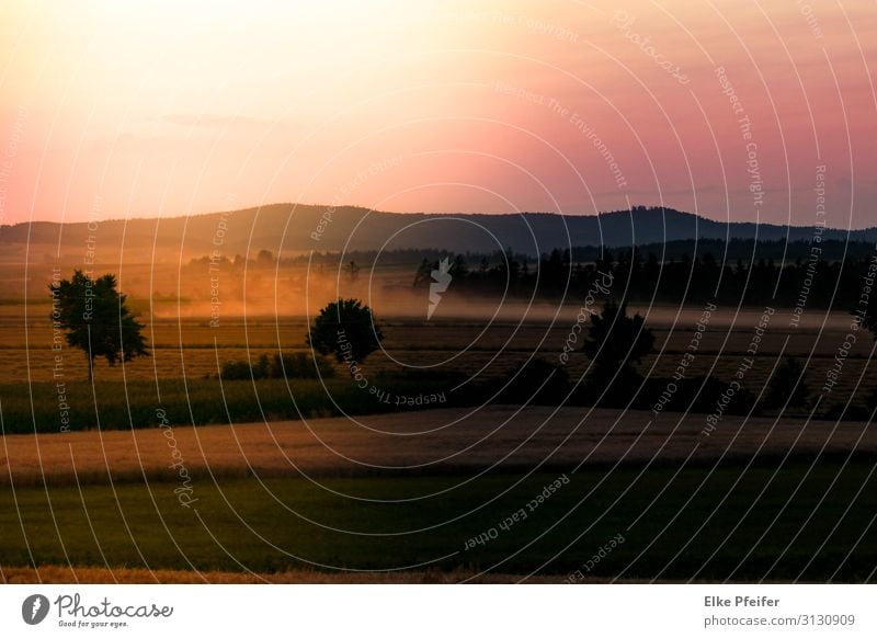 Im Waldviertel Natur Landschaft Sonnenaufgang Sonnenuntergang Feld Österreich Europa natürlich schön Wärme Stimmung Freiheit Frieden Gelassenheit Farbfoto