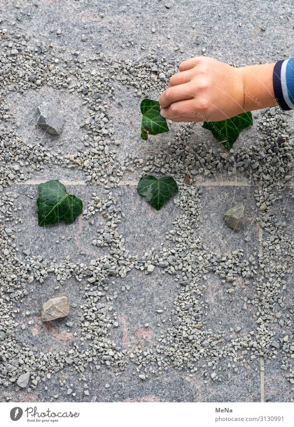 TicTacToe Hand 1 Mensch Natur Efeu Felsen Kieselsteine Stein Spielen außergewöhnlich authentisch einzigartig nah natürlich Freude Begeisterung ruhig Idee planen