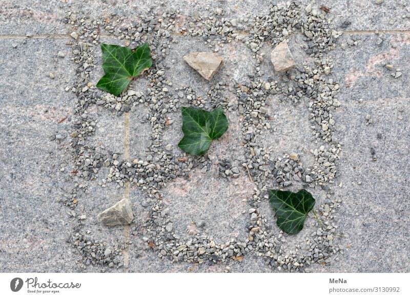 Tic Tac Toe Spielen Kinderspiel Natur Efeu Kieselsteine Stein Linie einzigartig natürlich Freude ruhig rein planen Blatt Kreativität Farbfoto Menschenleer Tag