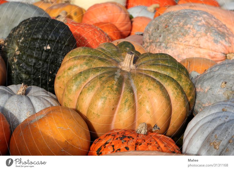 Frische gesunde Biokürbise auf einem Agrarmarkt im Herbst Basar Bioprodukte Biologische Landwirtschaft mehrfarbig Essen zubereiten kochen & garen Bauernhof