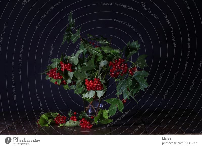 Zweige mit roten Beeren in einer Glasvase lecker Herbst Hintergrundbild schön Blumenstrauß Ast Dekoration & Verzierung Pflanze selbstgemacht kalina Blatt