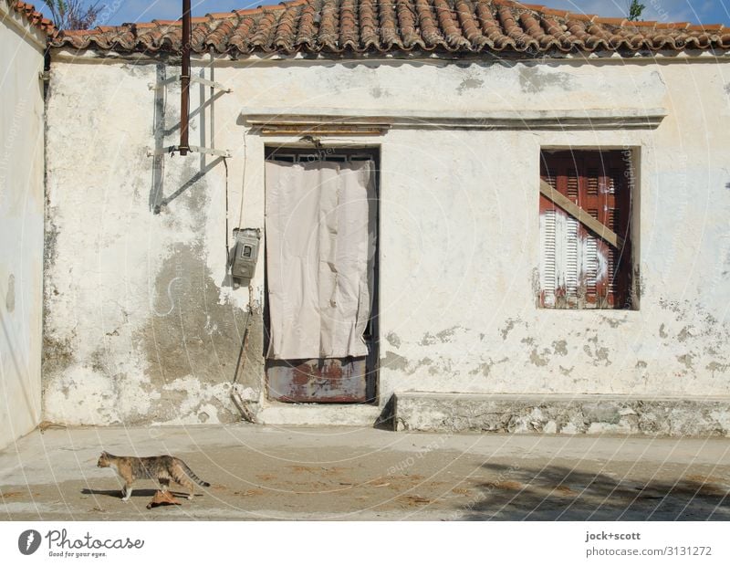 Haus & Katze Architektur lost places Griechenland Fassade Fenster Tür 1 Dachziegel laufen authentisch Stimmung Romantik Gelassenheit Idylle Vergänglichkeit